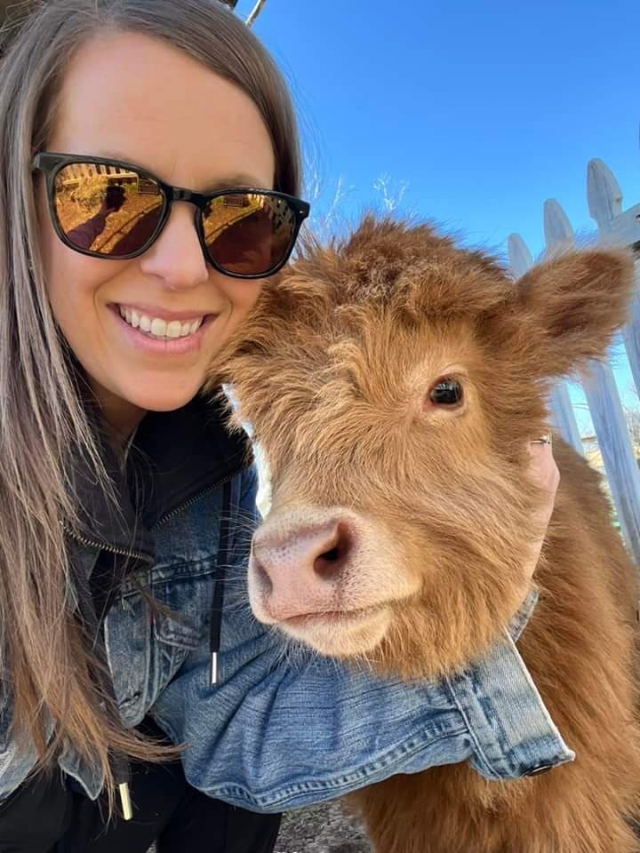 Private Highland Cow Cuddles + Farm Day Pass!