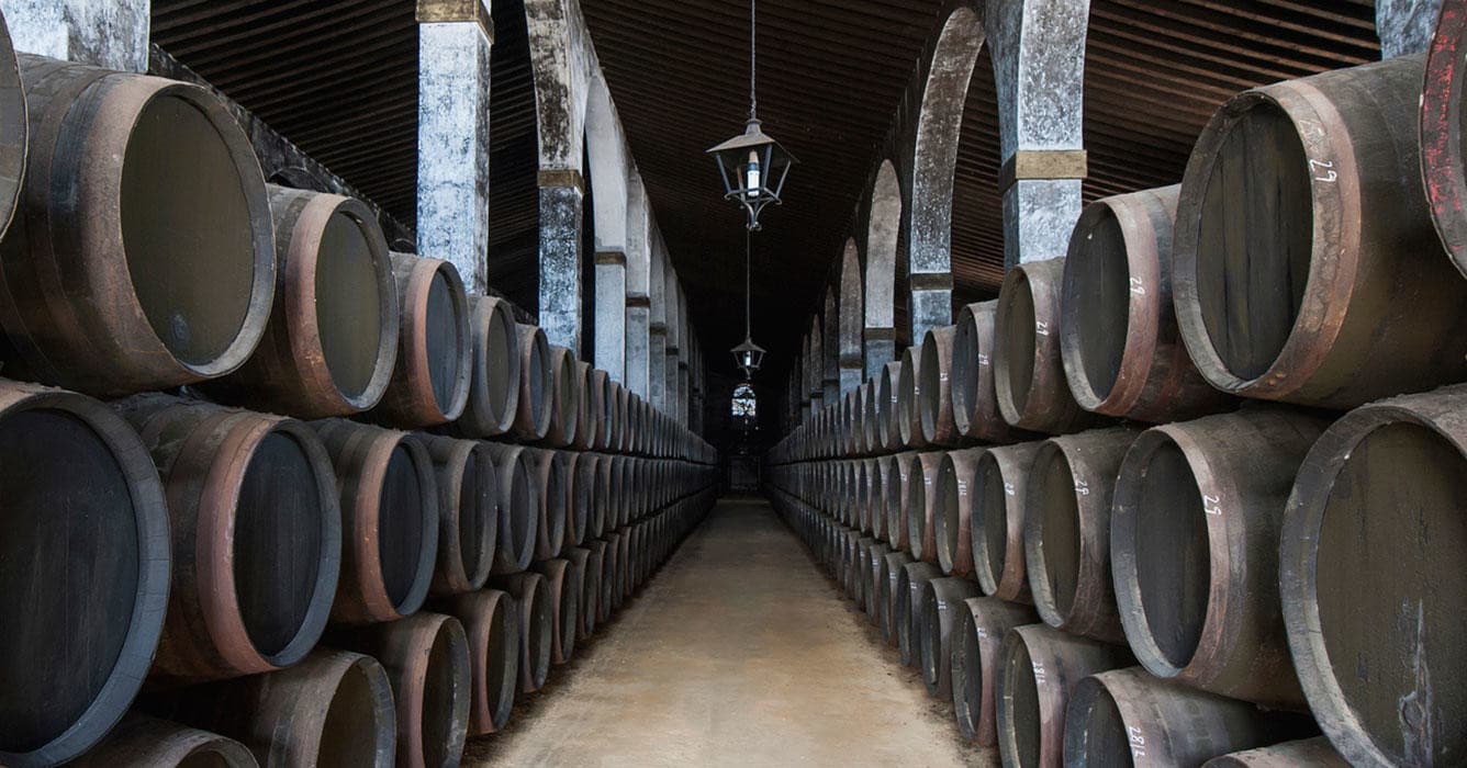 Jerez y Cádiz. Vino, Caballos y Luz