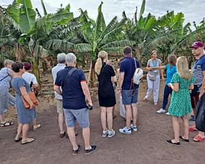 Visita guiada al Museo del Plátano en Arucas