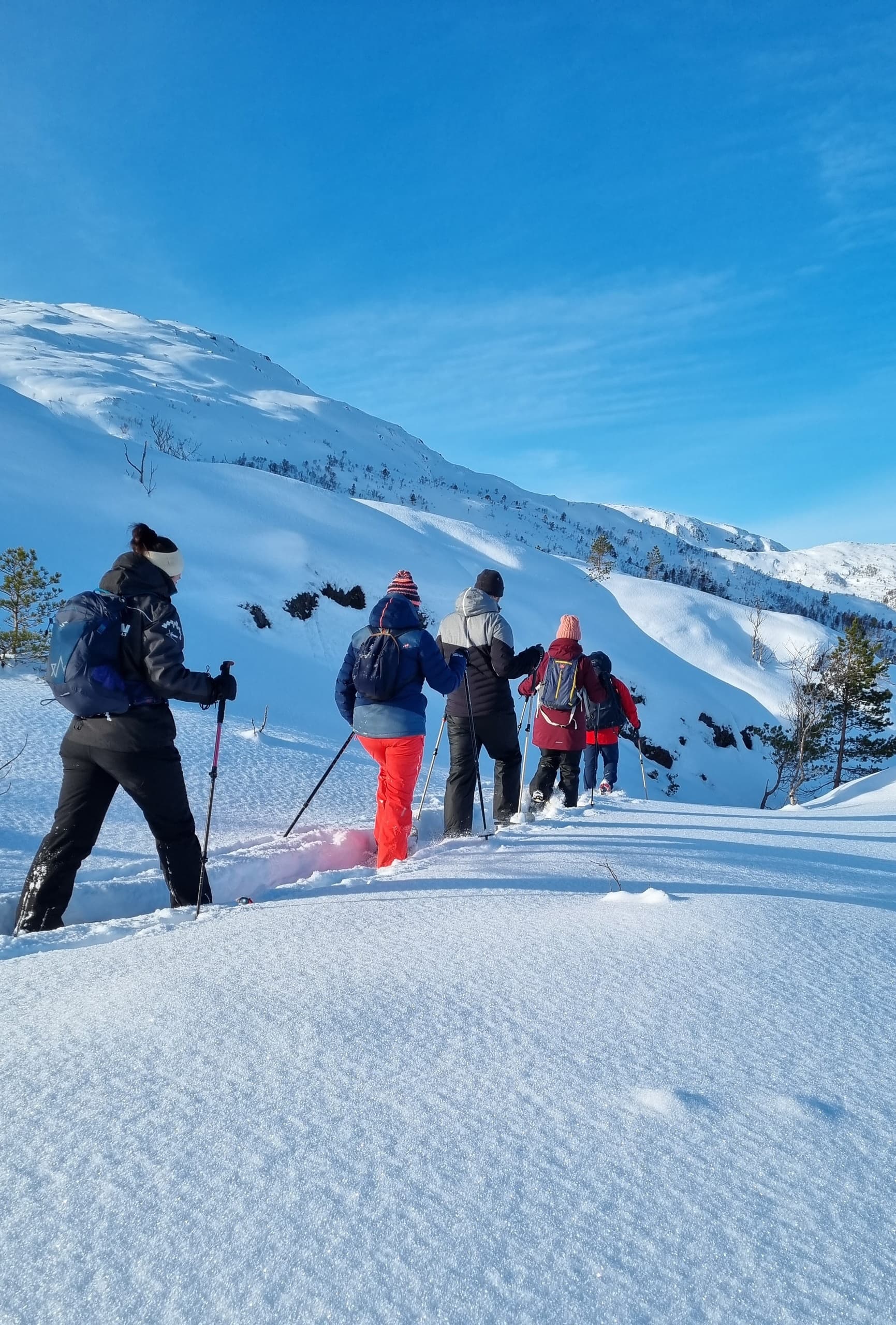 Snowshoe Hike - Public Tour