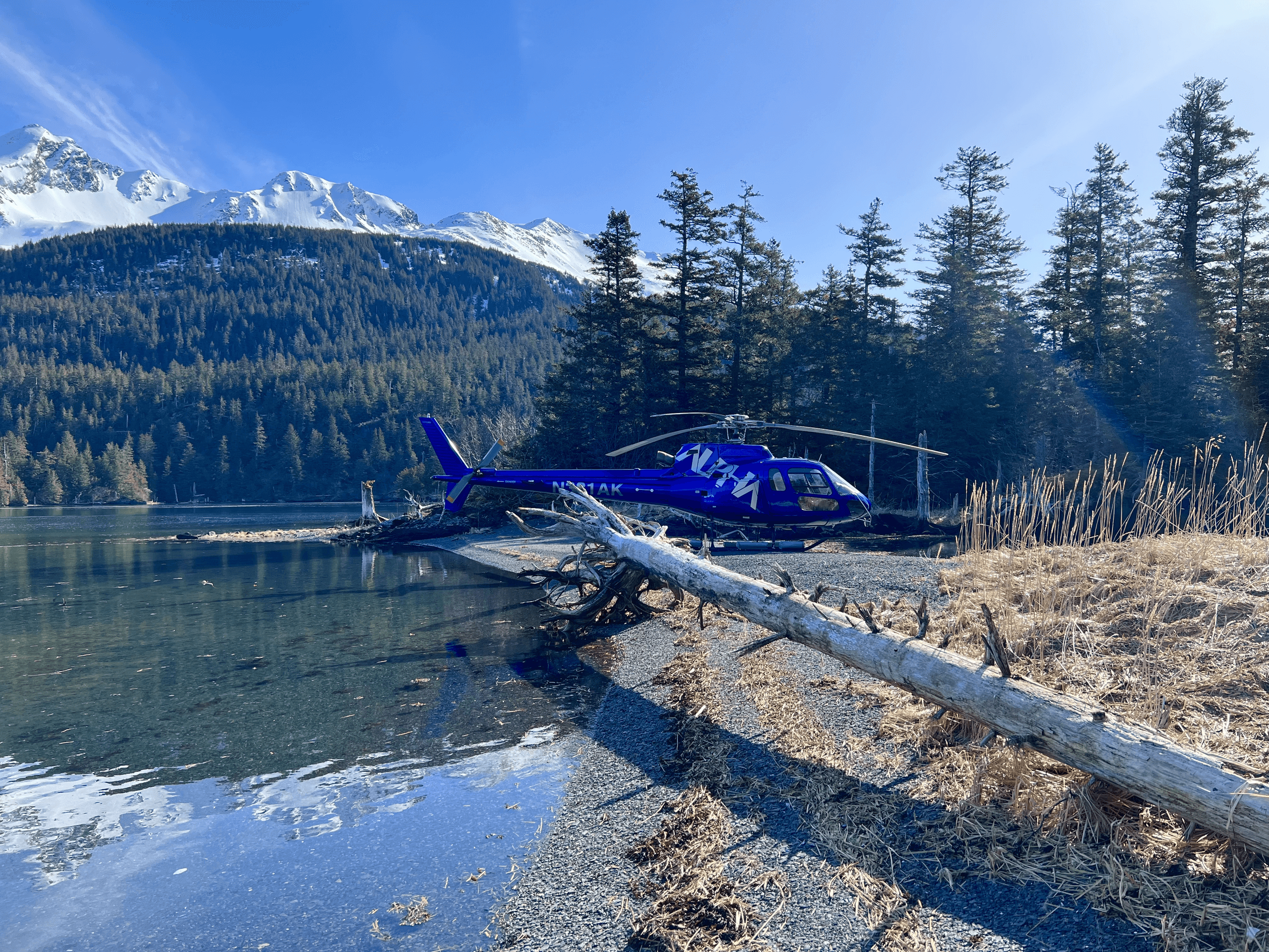 Kachemak Bay Beach Discovery  - HOMER