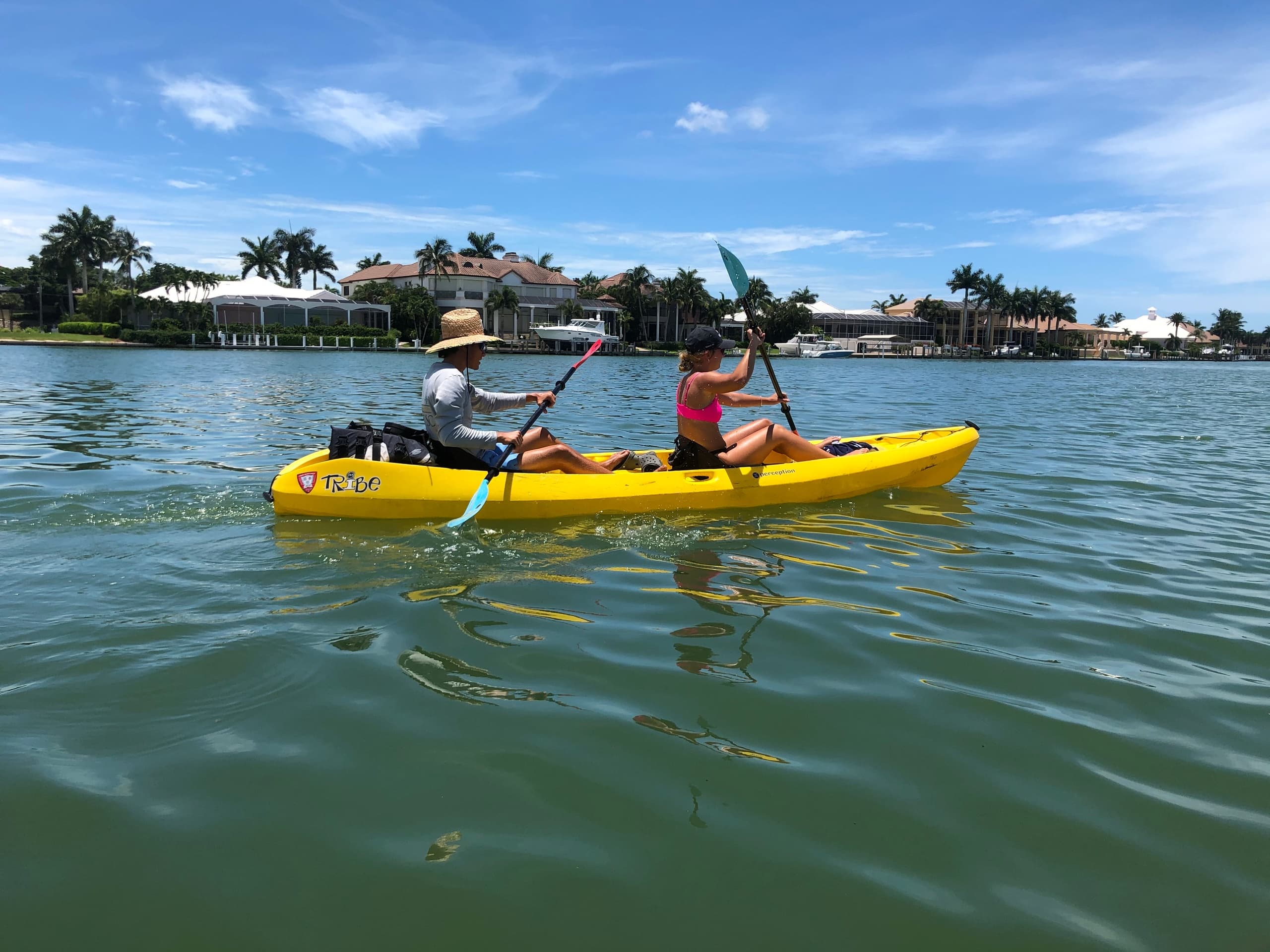 3 Day Rental
