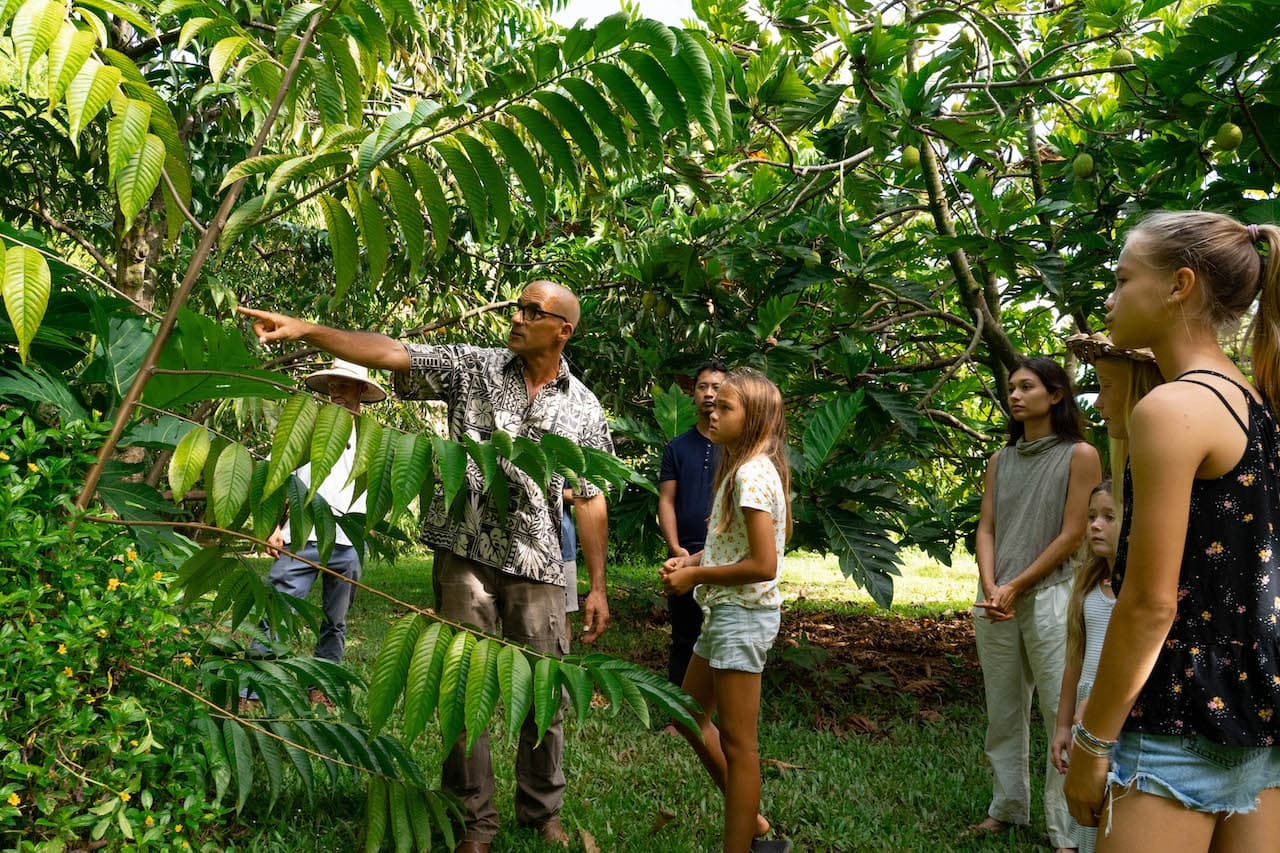 Farm & Food Experience