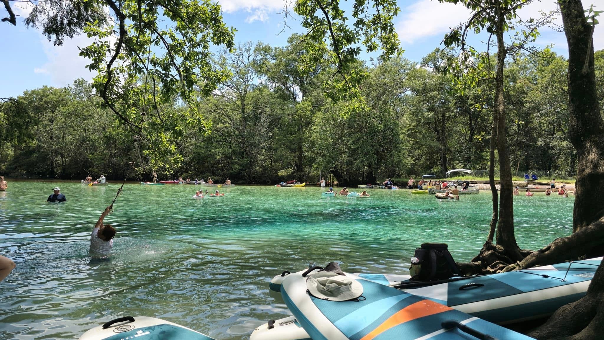 Cypress Springs Paddle Board Tour