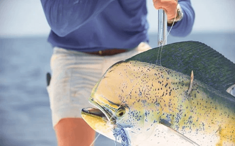 Offshore Fishing