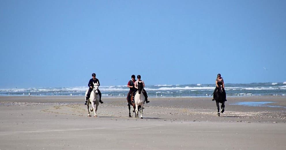 Gevorderde 3 uurs buitenrit