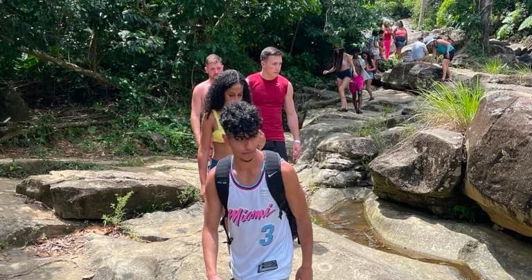 Rainforest Tour