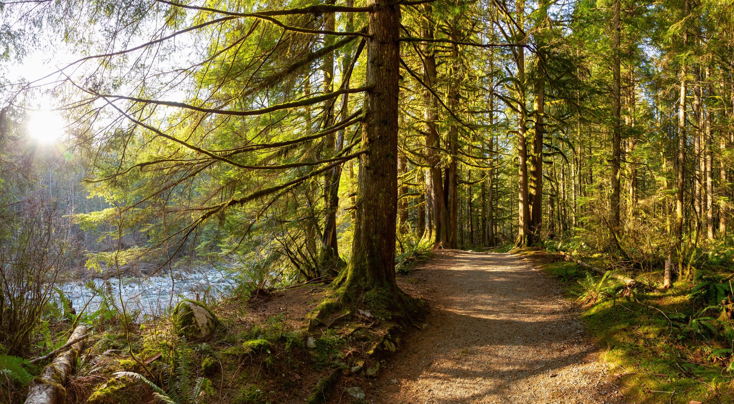 Pedals & Pines - The Banks-Vernonia Trail Adventure