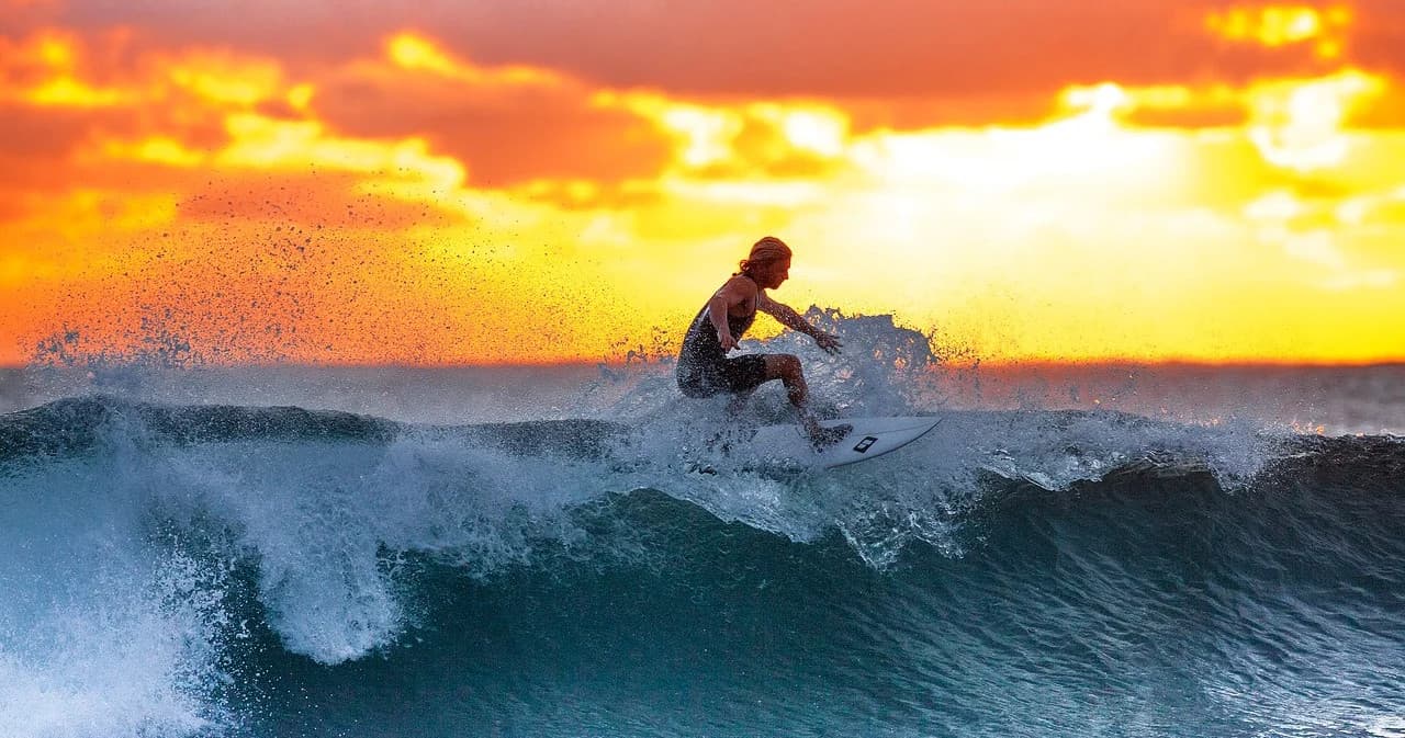 Aloha Surf Tour