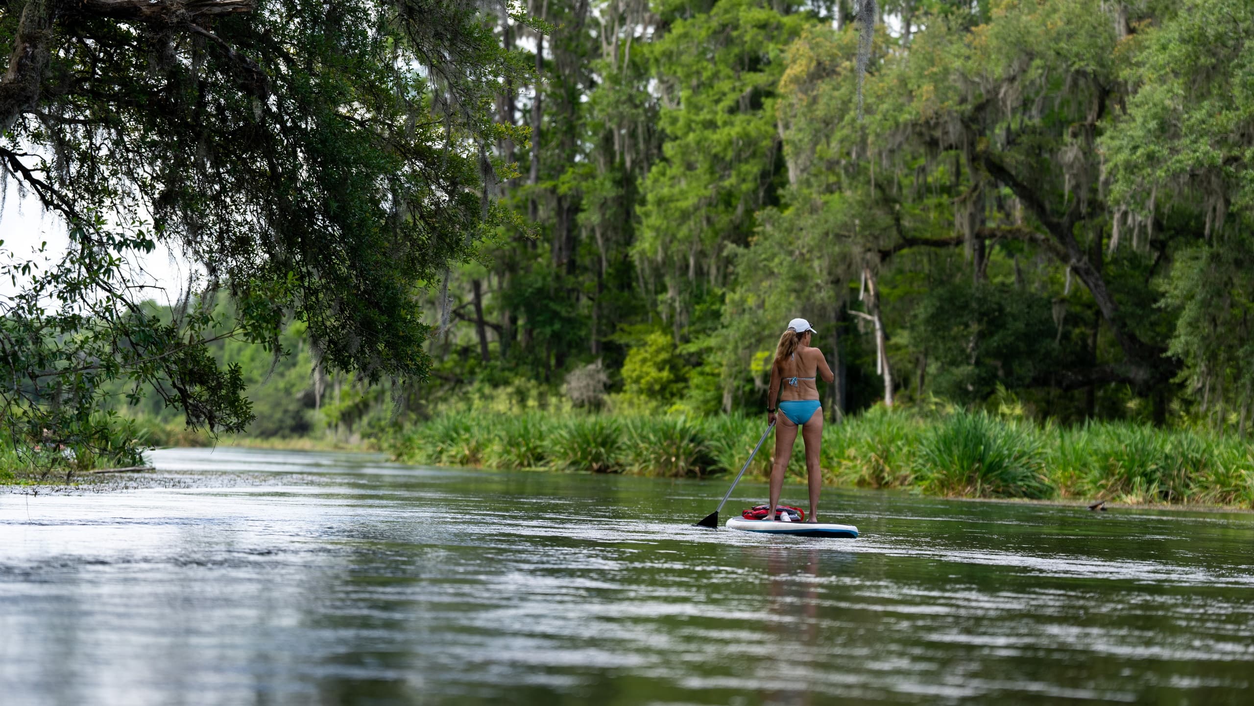 Dampier's Landing Paddle
