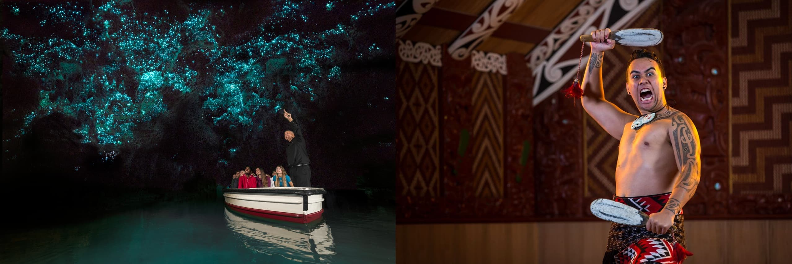 Private One Way Auckland to Rotorua including Waitomo & Te Puia