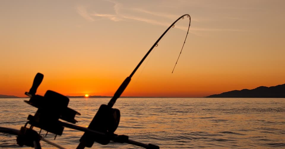 Full Day Charter