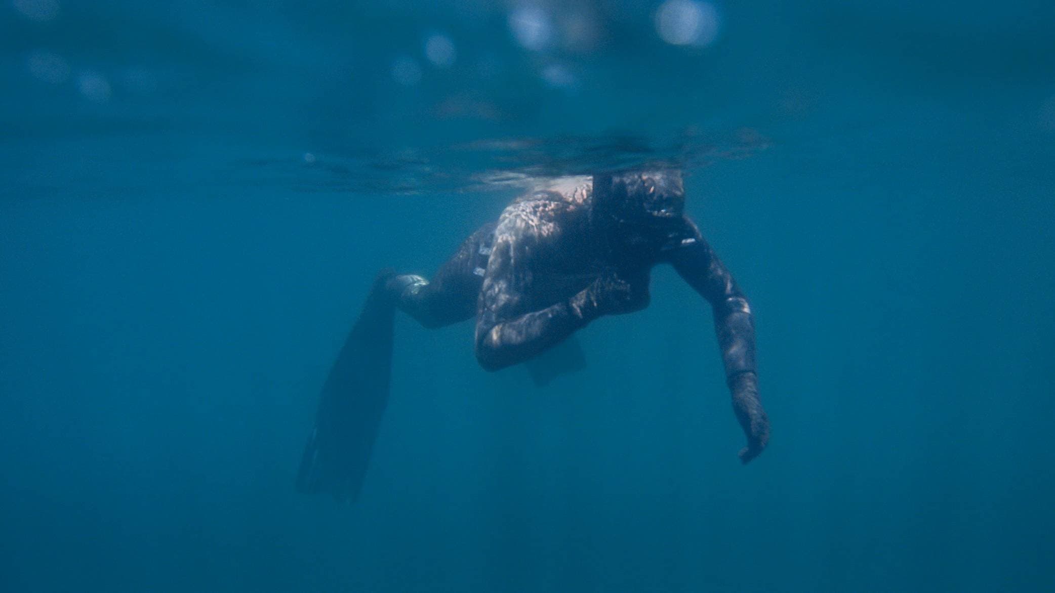 Snorkelling Group Tour