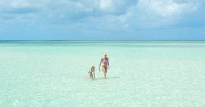 Eco Tour - Half Day Charter