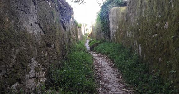 Sintra Private Walking Tour | 3 Hours