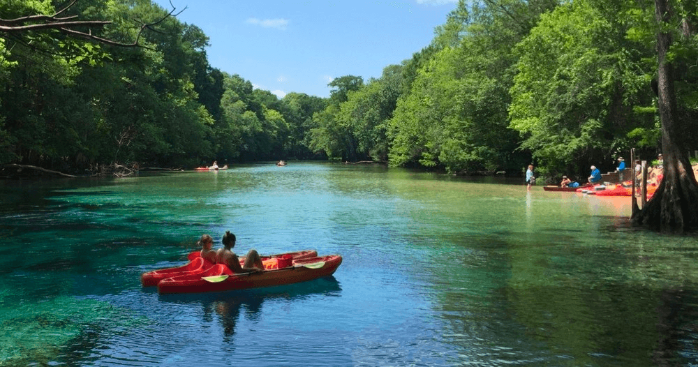 Tandem Kayak Rentals (Jackson Blue Springs)