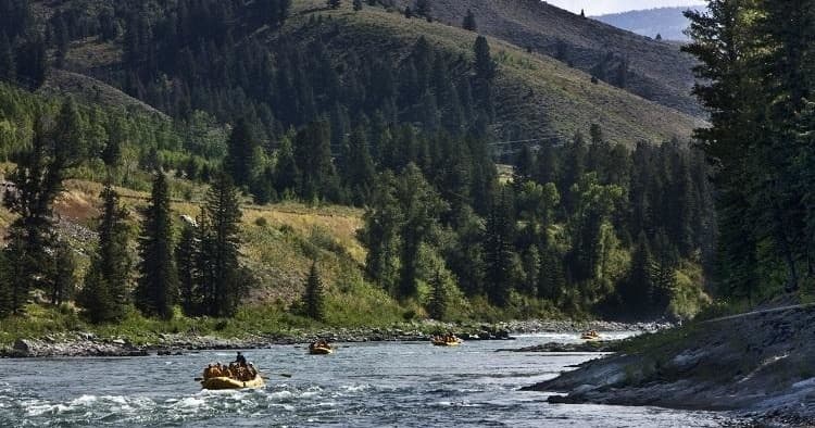 Snake River Afternoon Lunch Float