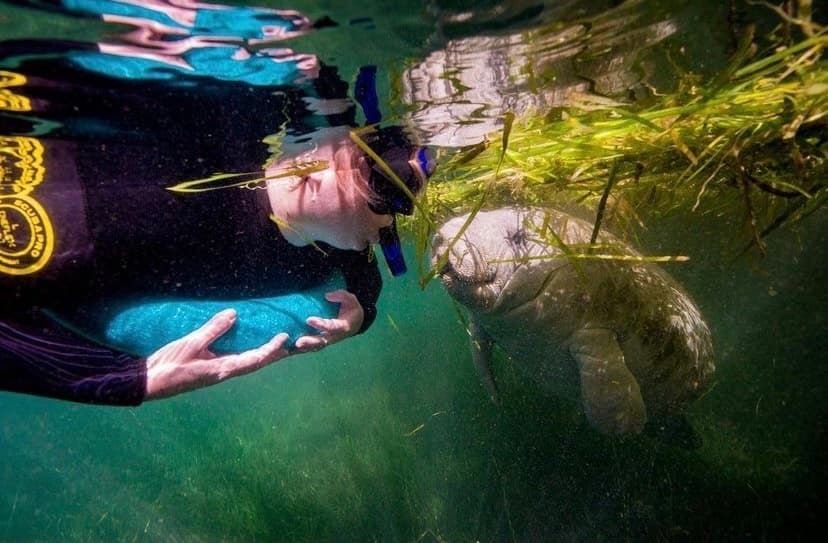 Private Manatee Tours