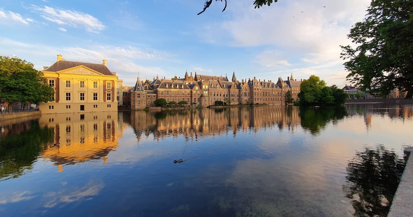 The Hague