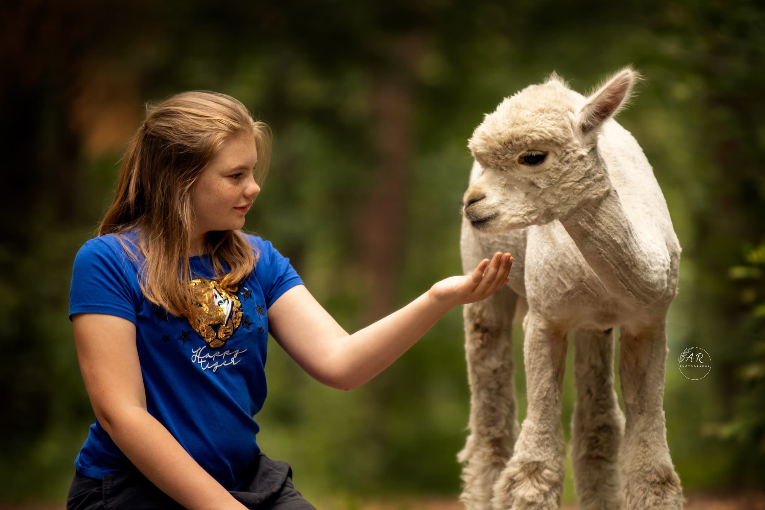 Alpaca Meet & Greet