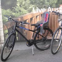 Kid Seat - Rentals