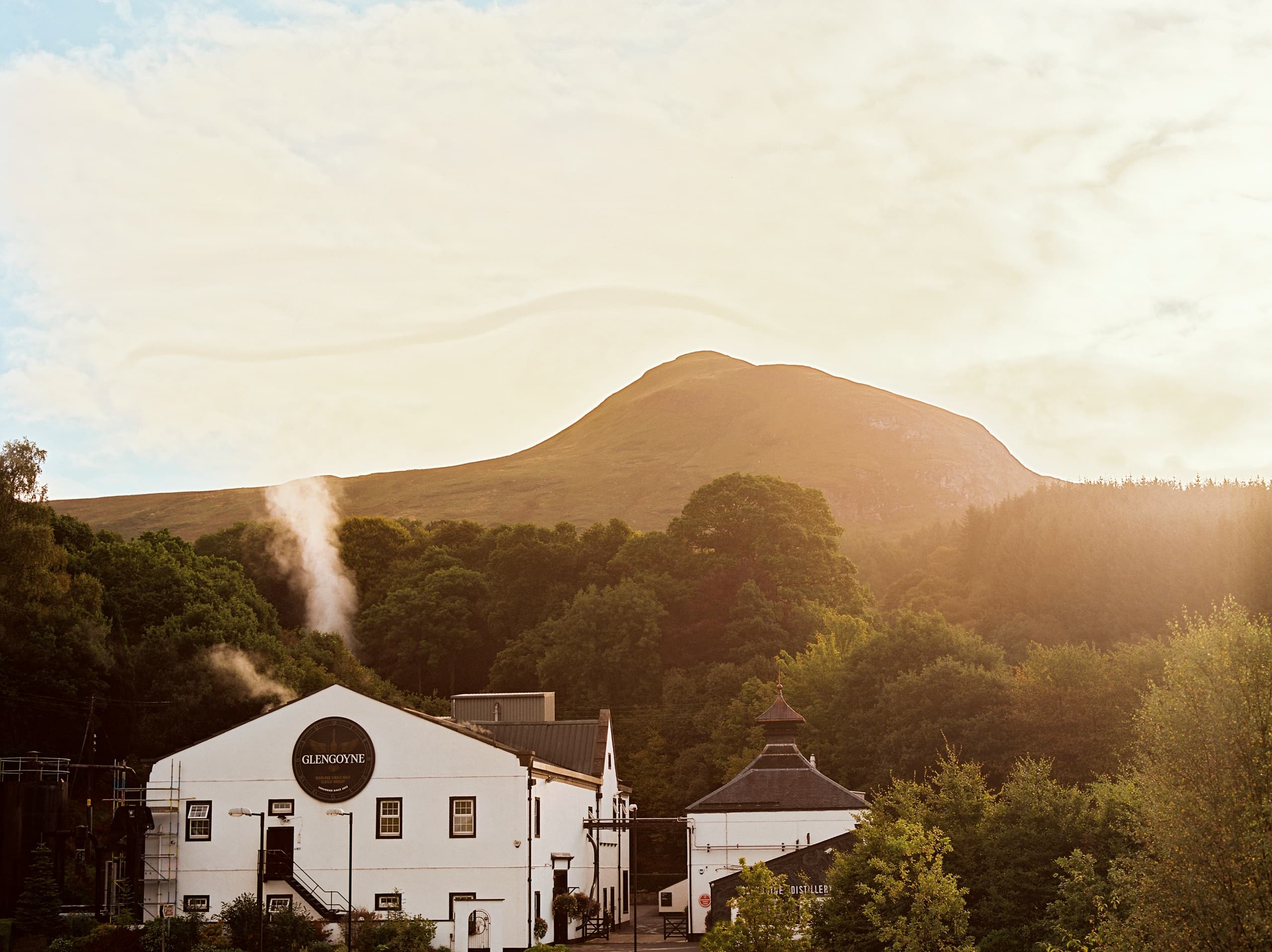 Glengoyne Tour and Tasting