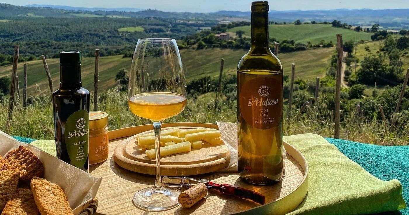 Tuscany Vineyard Picnic