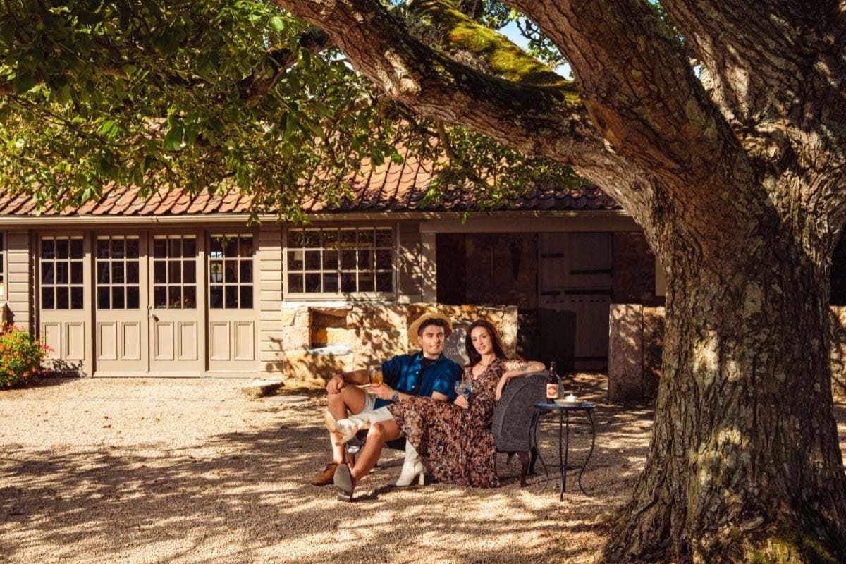 Premium Guided Tour & Tasting Experience