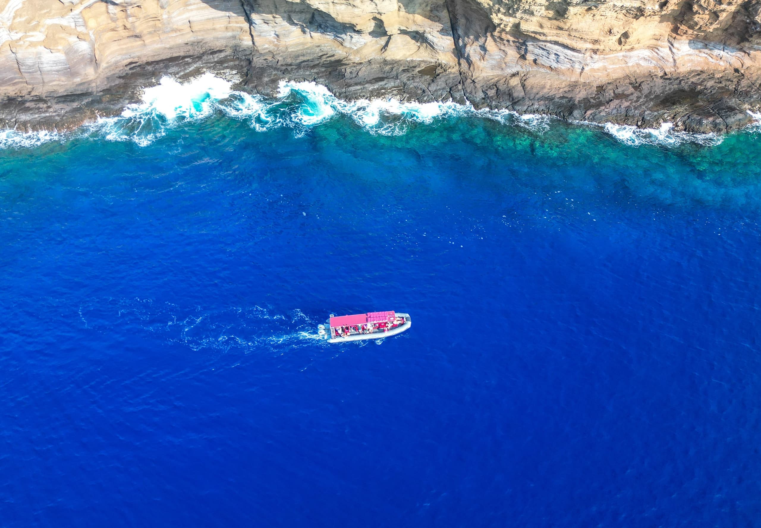 Molokini Snorkel and Whale Watching (Dec -15) 2.5 Hours