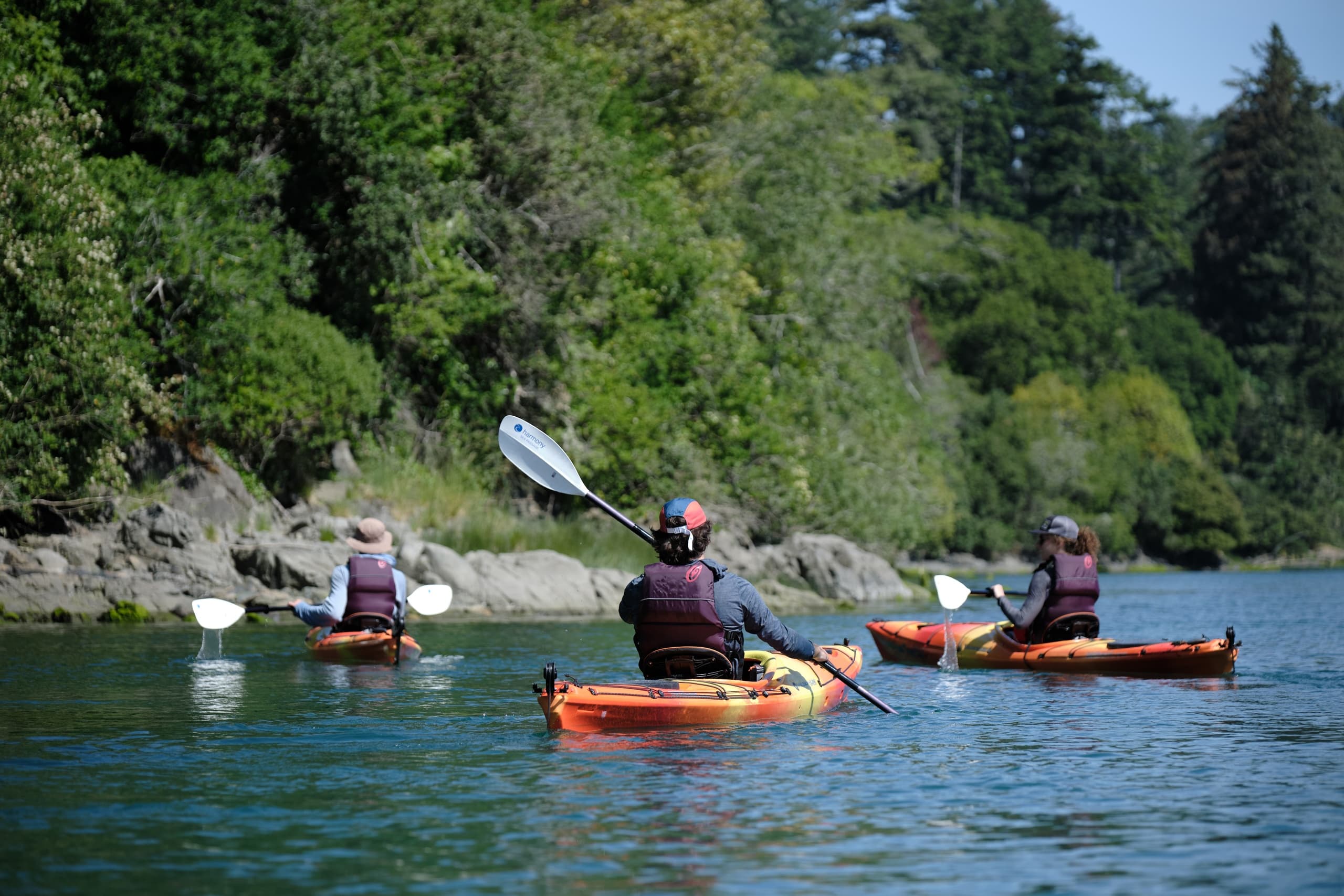 Brookings Chetco River Wildlife Viewing Kayak Tour