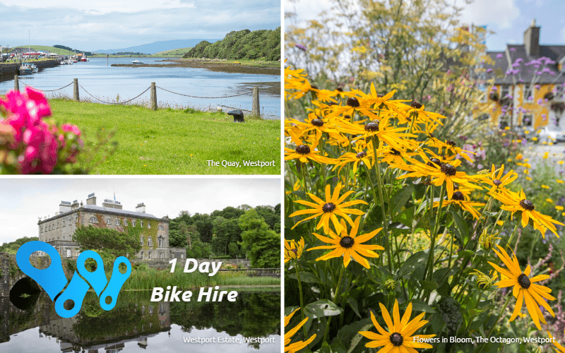 One Day Bike Hire