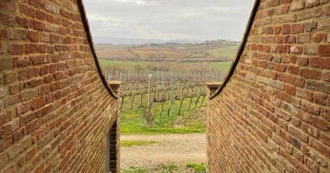 Cortona and Syrah Under the Tuscan Sun