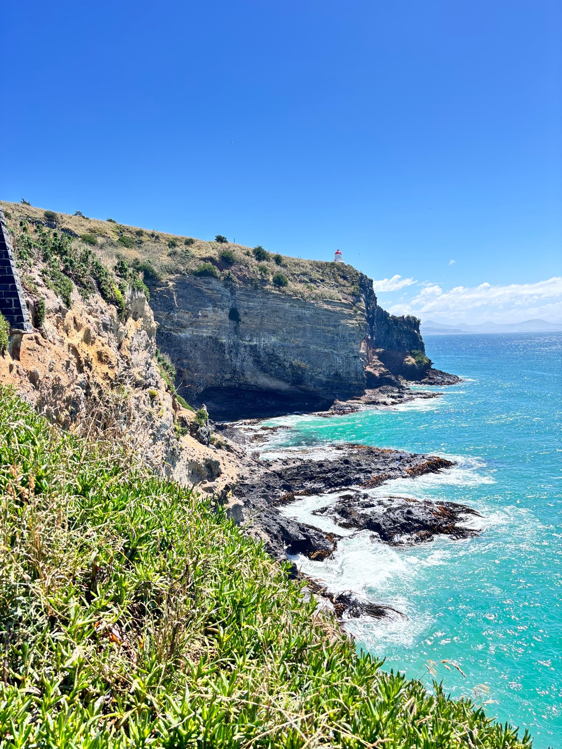 Shared Dunedin & Otago Peninsula Day Tour