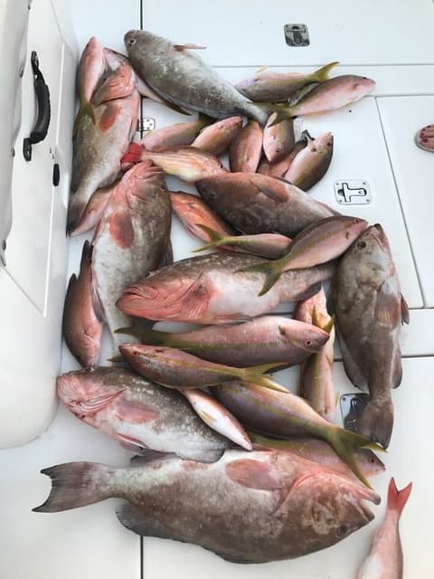 Eight Hour Charter