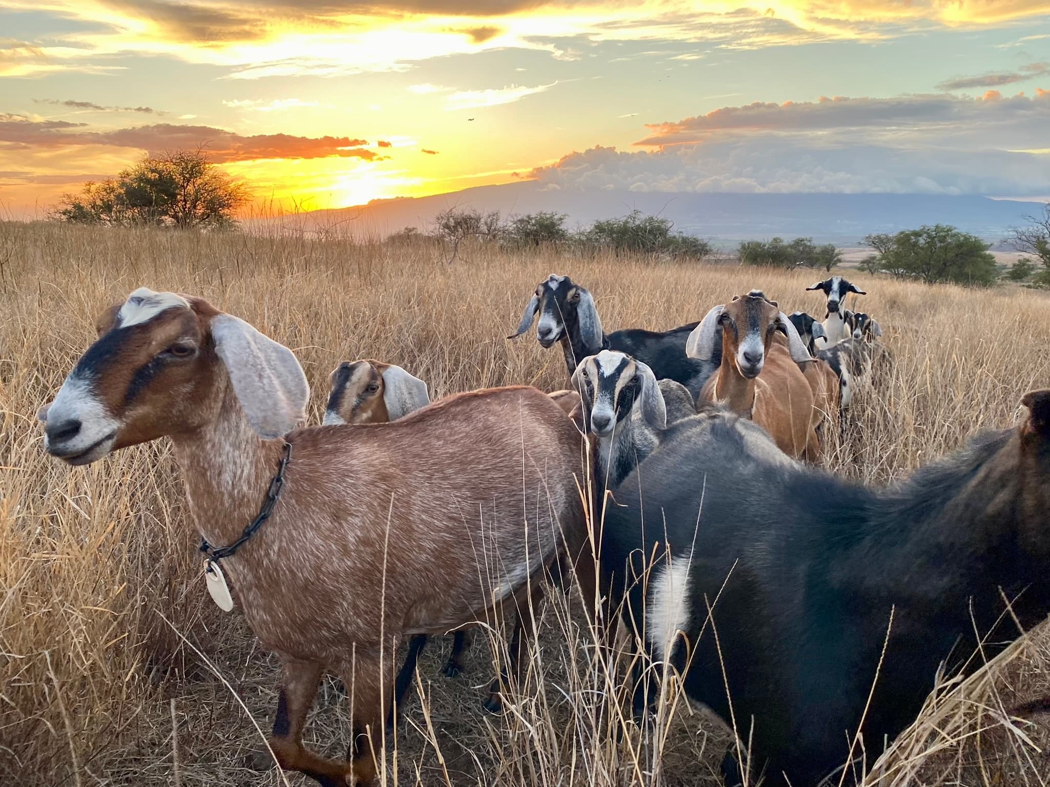 Farm To Spoon Tour