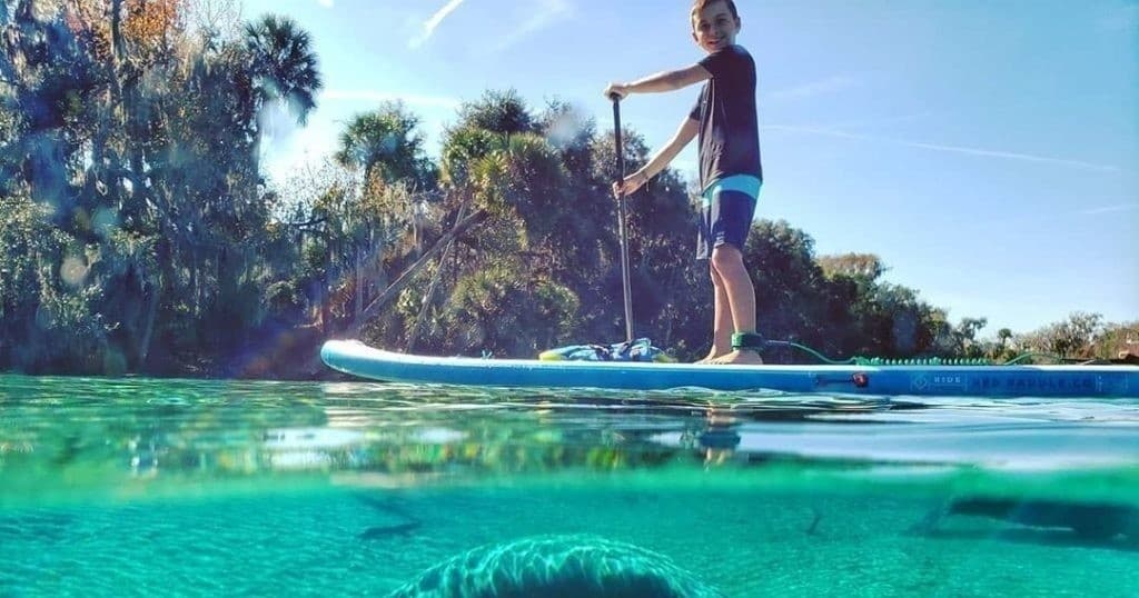 Paddle Board Rentals