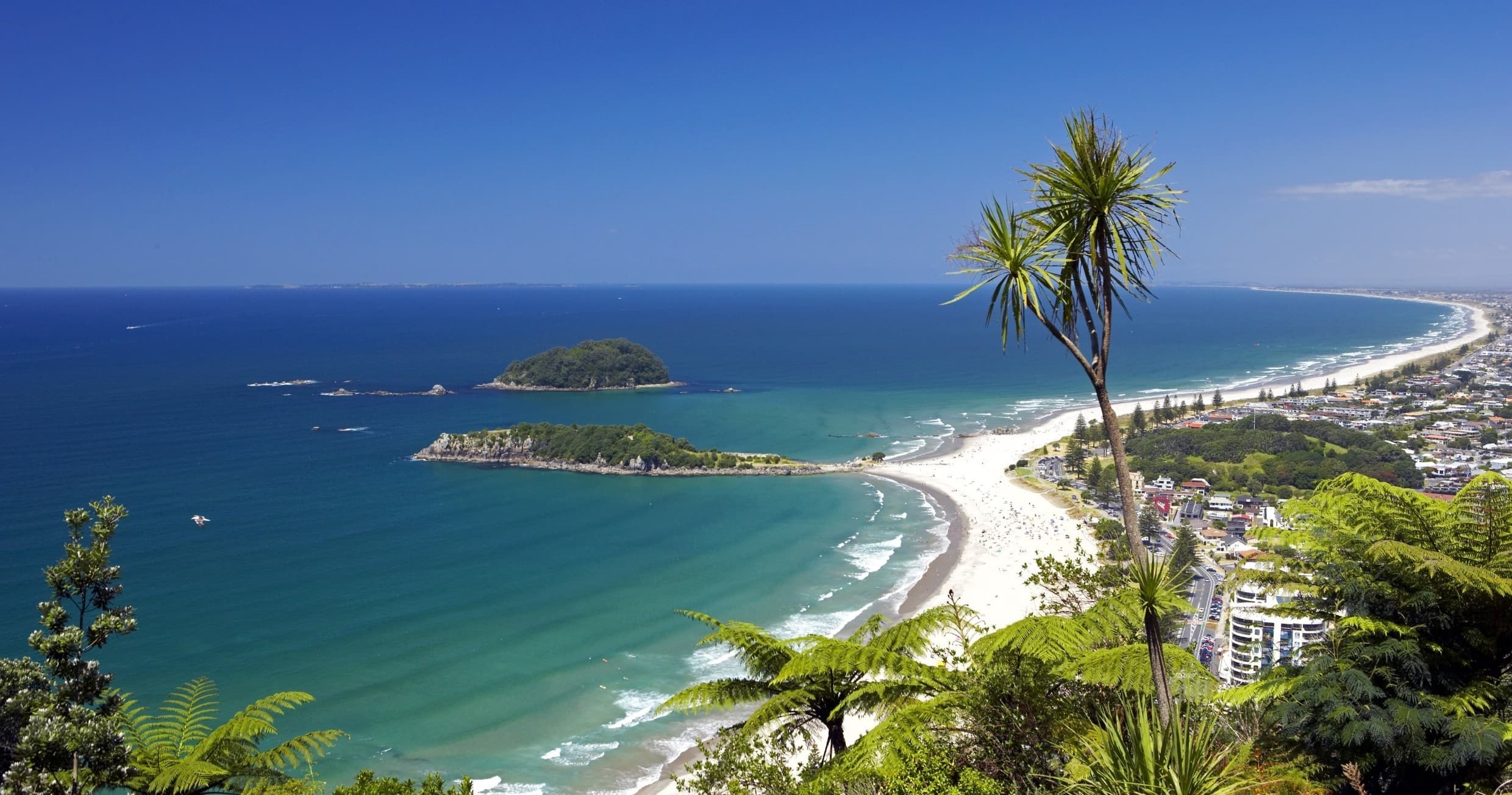 Auckland to Waitomo, Taupo and Bay of Plenty 5 Day Private Tour