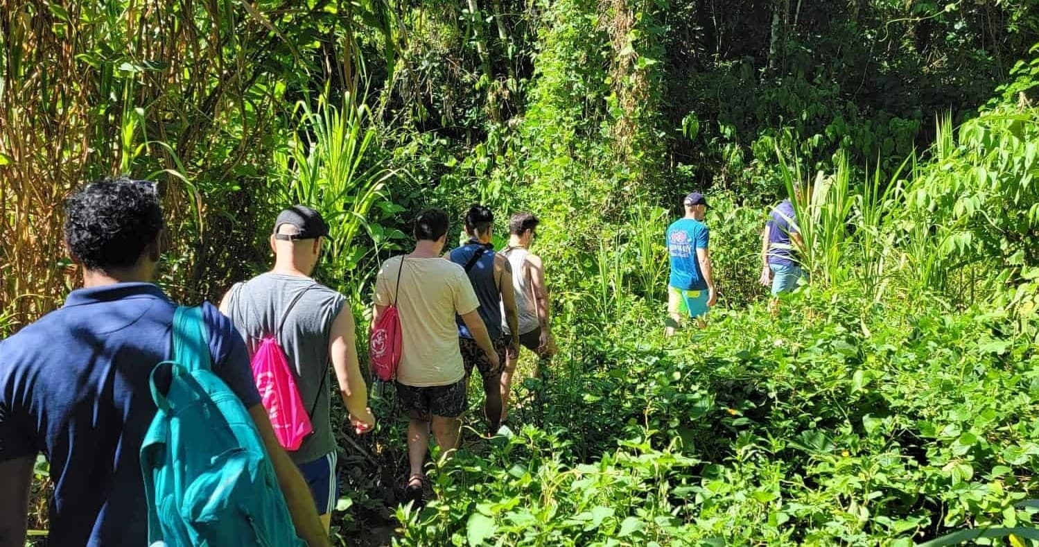 Rainforest, River, & Waterfall Tour