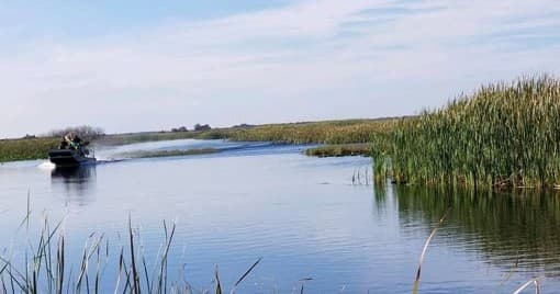 60 Minute Airboat Tour