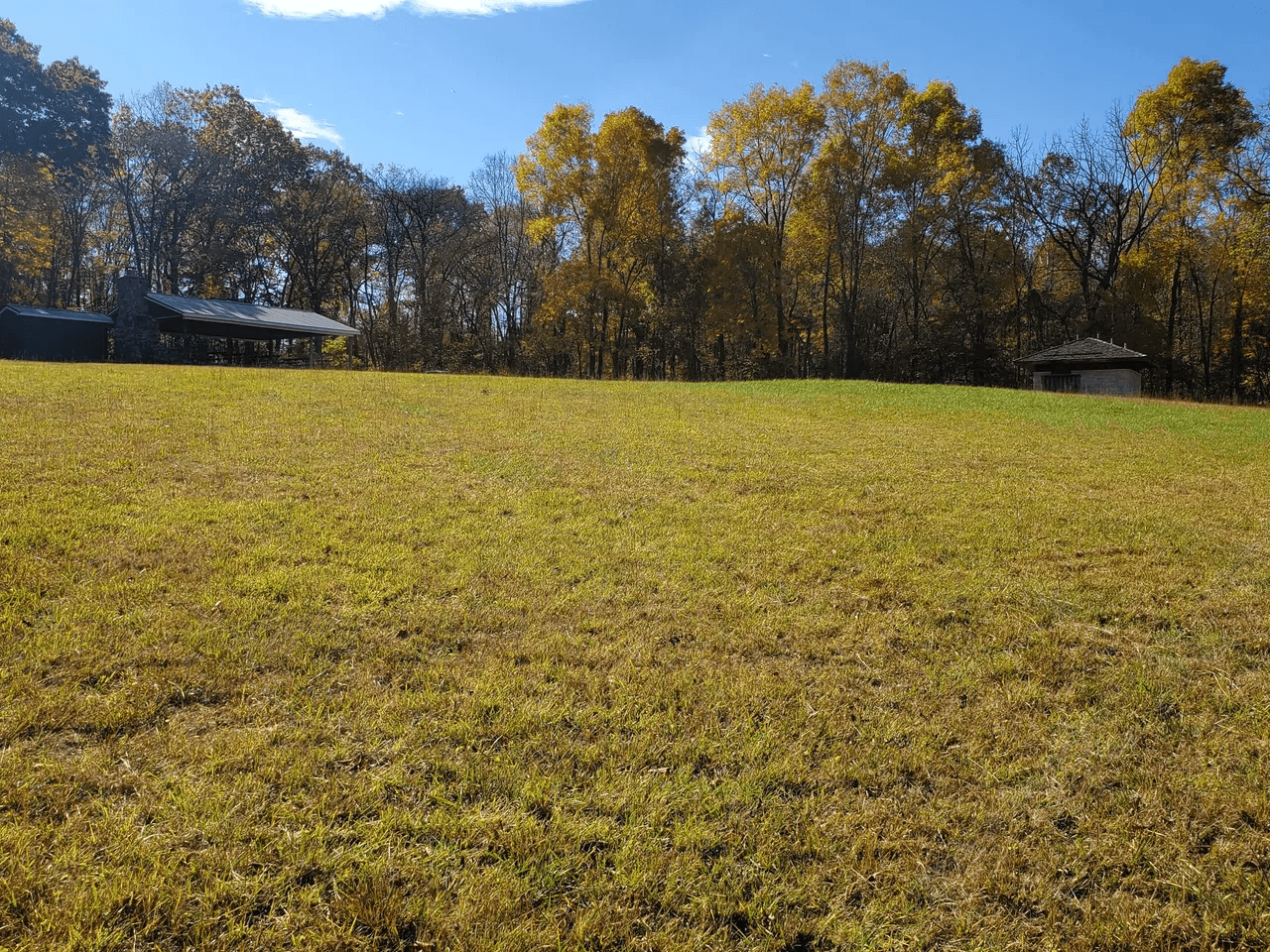 Site 8 - Lester Meck