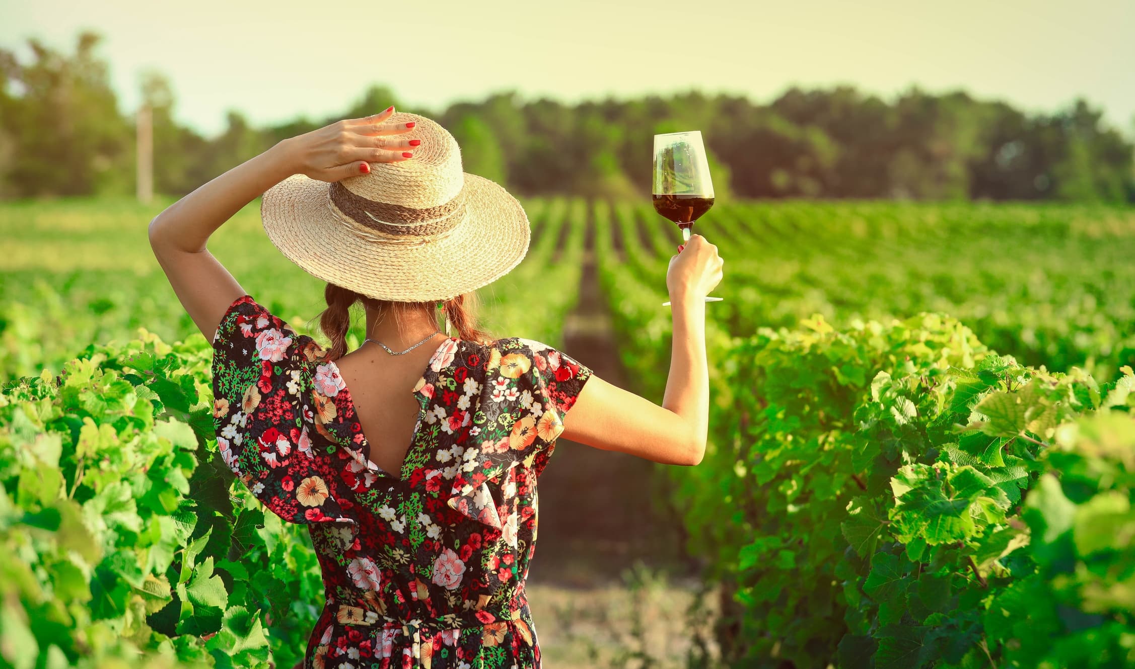 Private Tour to Rioja and Ribera del Duero Wineries from Madrid