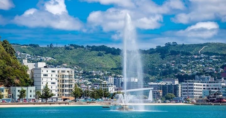 Wellington Highlights - Full Day