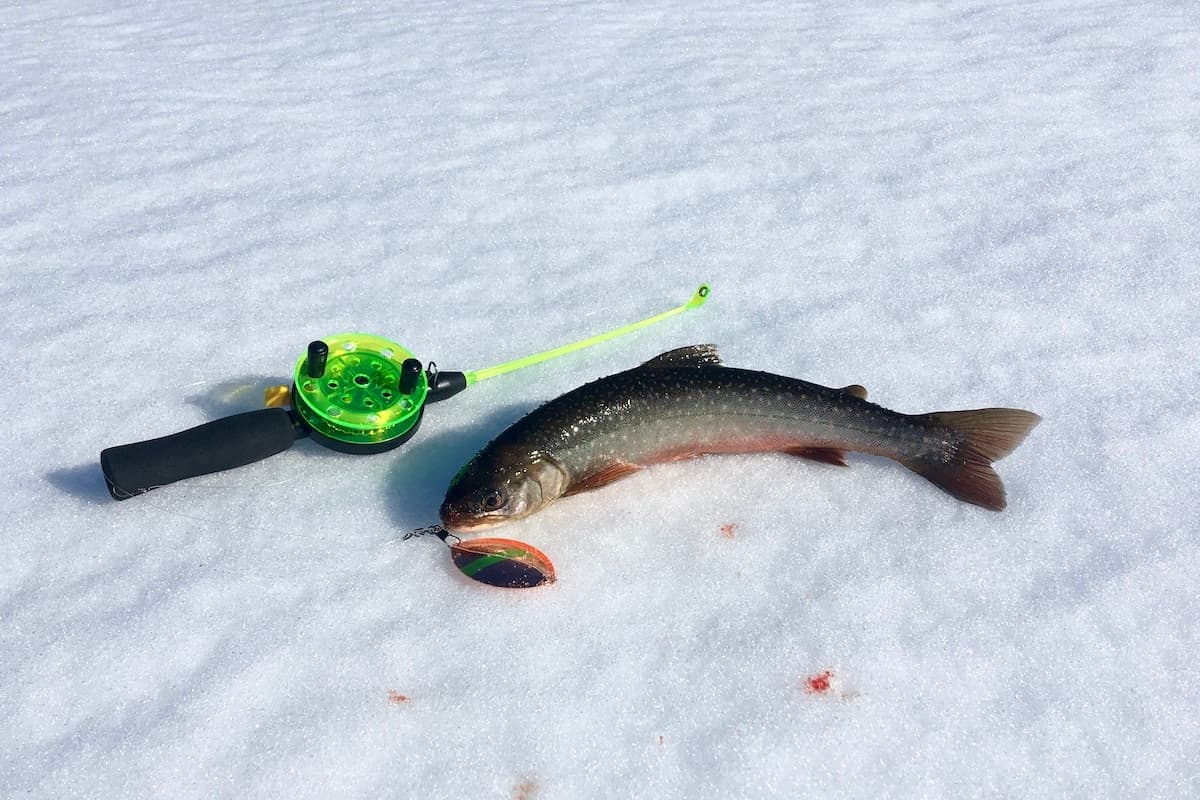 Snowmobiles + Ice Fishing
