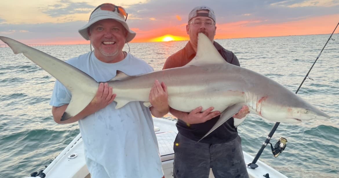 Eight Hour Tampa Shark Fishing