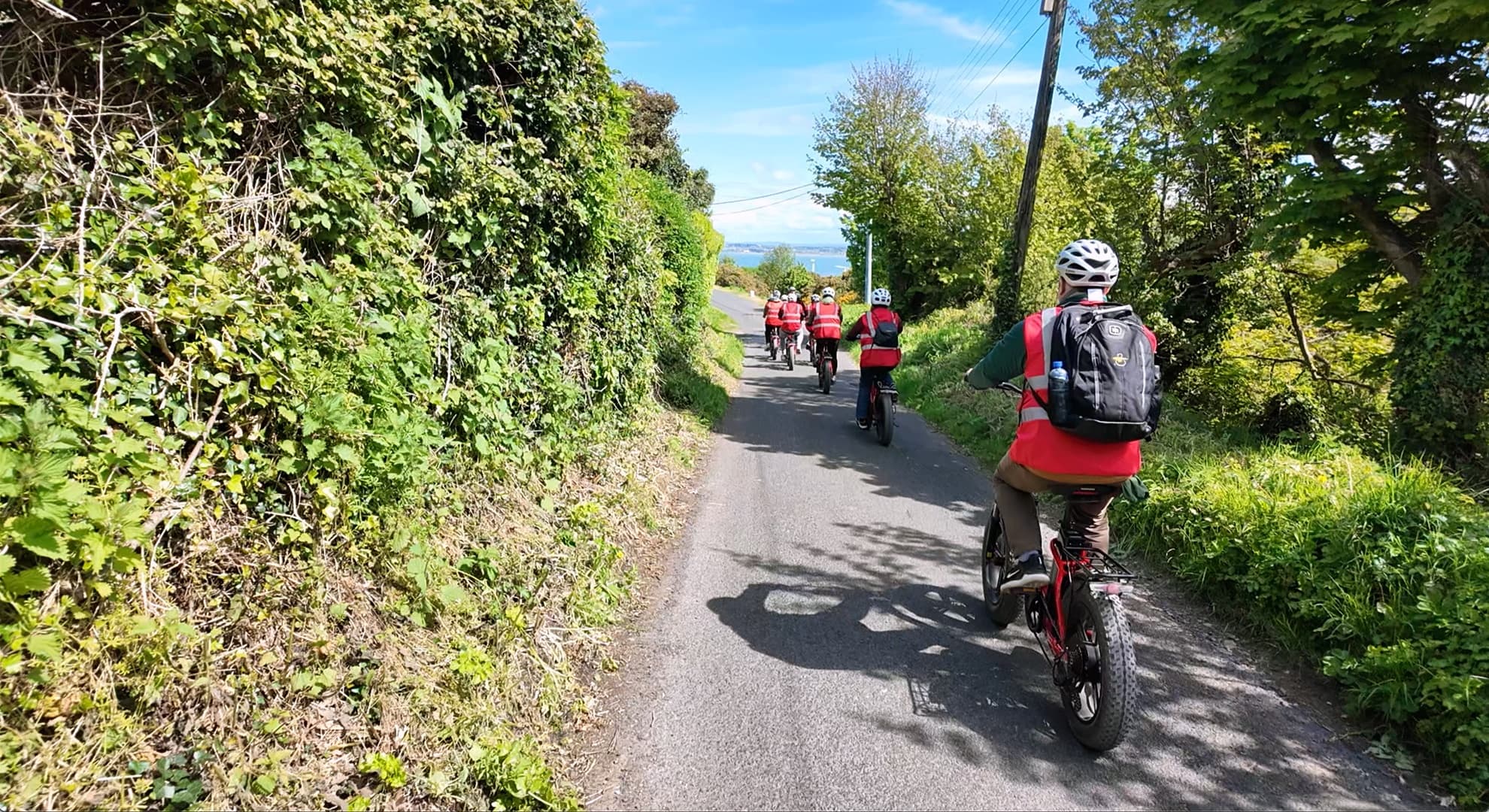 Panoramic E-Bike Tour