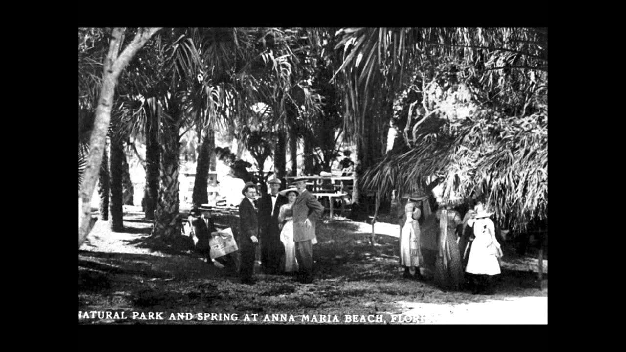 Wild Women of Anna Maria Island