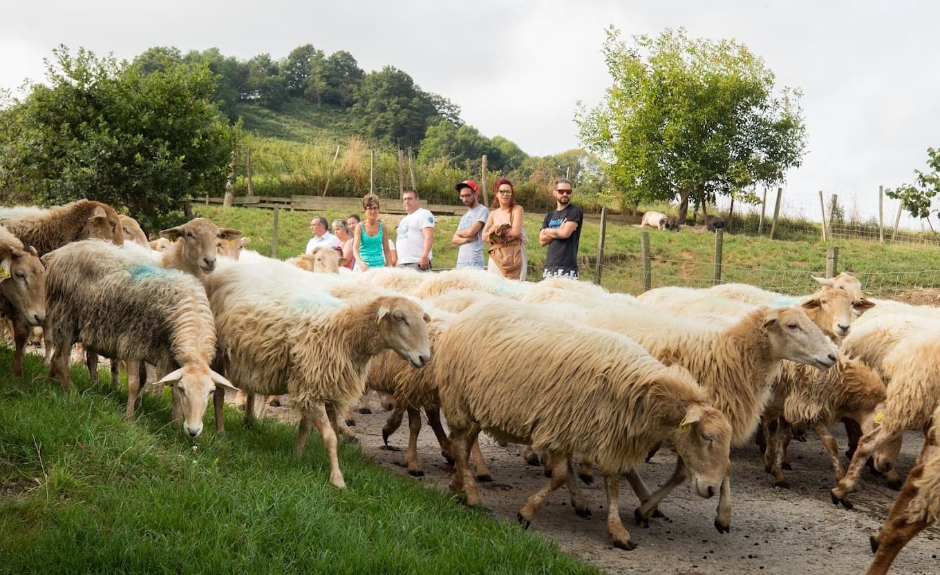 Basque Animal Farm Experience