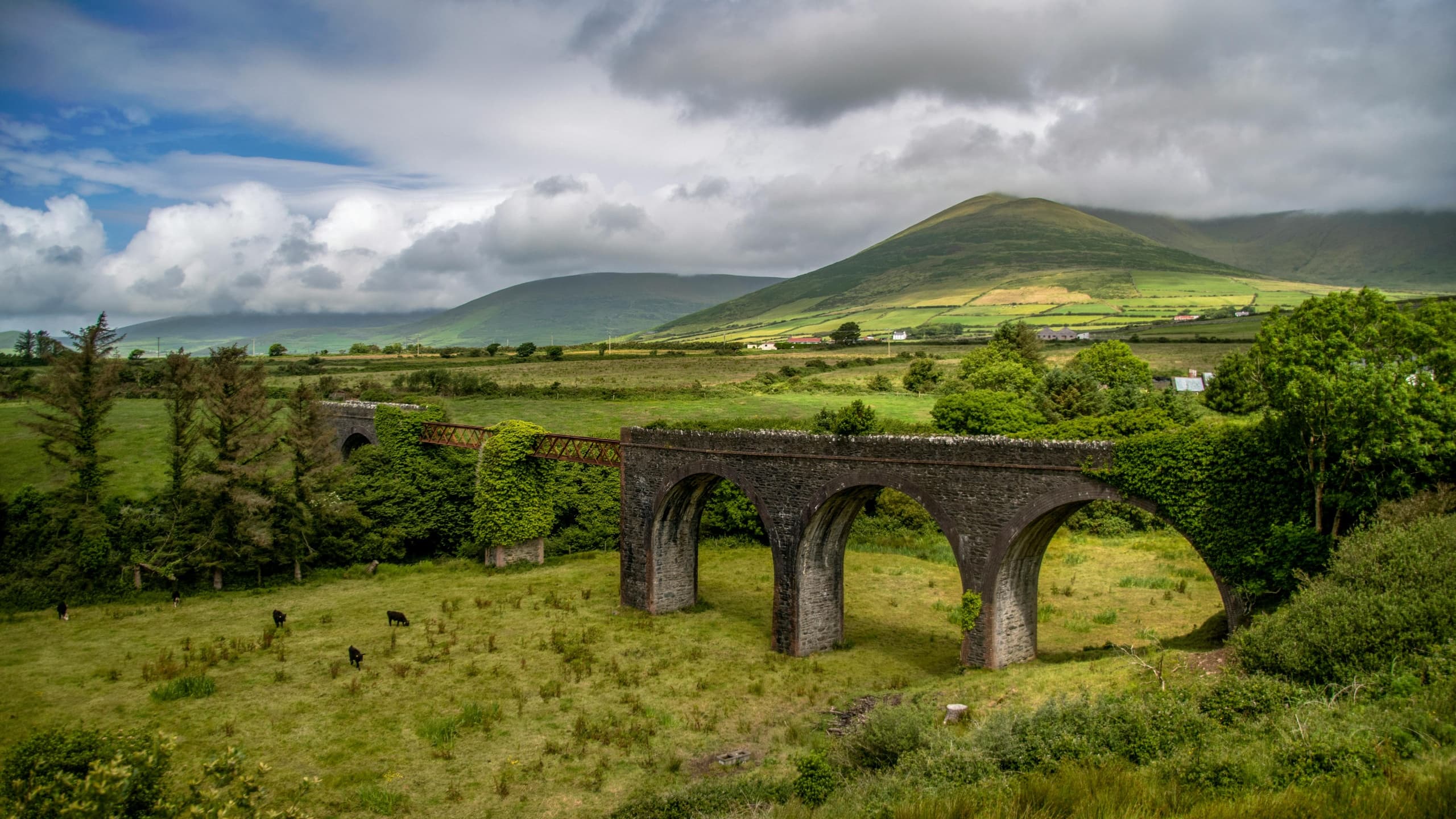 Dingle Peninsula Tour