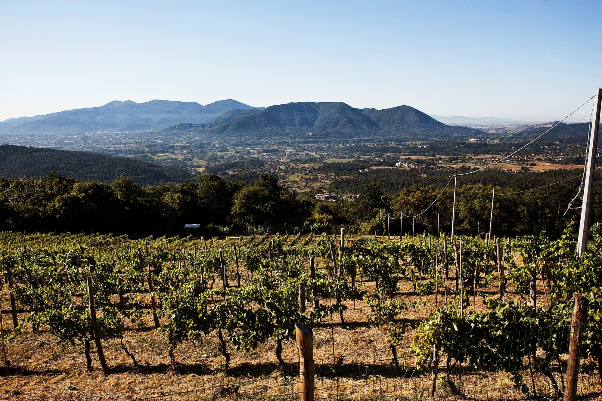Exclusive Winery Experience by E-bike and Van