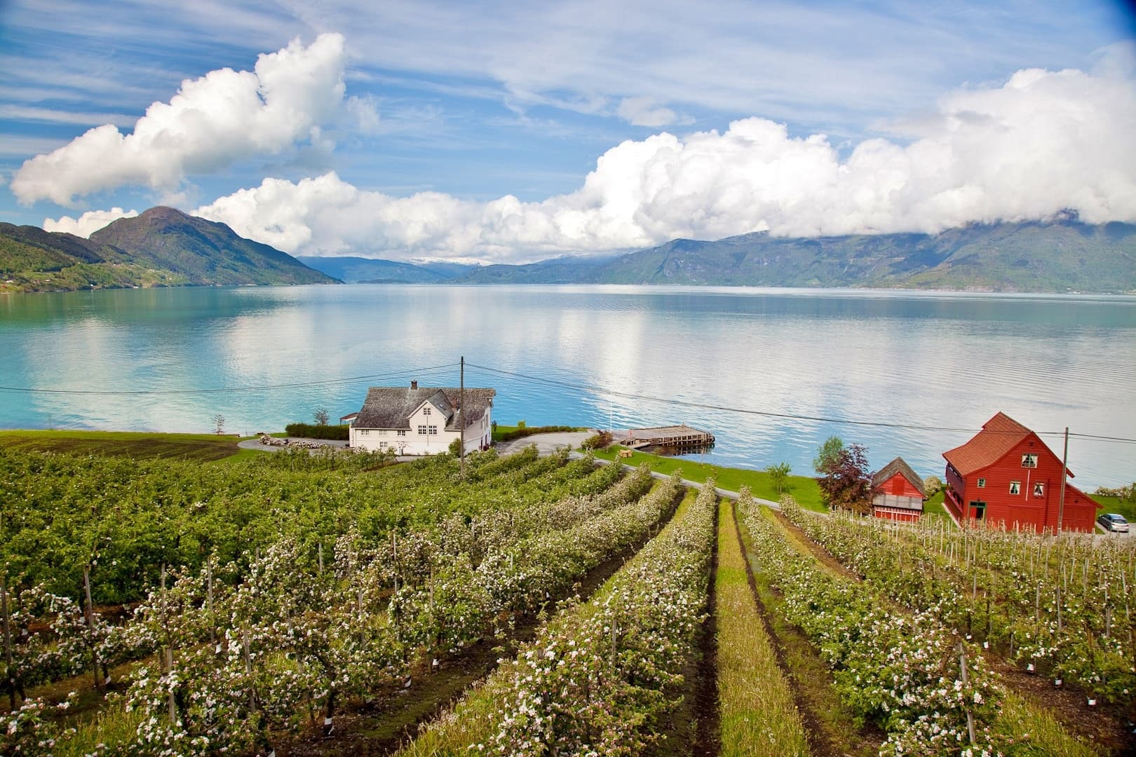 AMAZING HARDANGER FJORD: Private guided round trip from Bergen, 10 hours